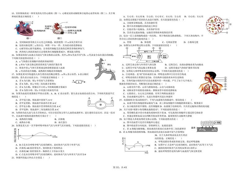 山东省东营市广饶县乐安中学2024-2025学年七年级上学期12月月考生物试题第2页
