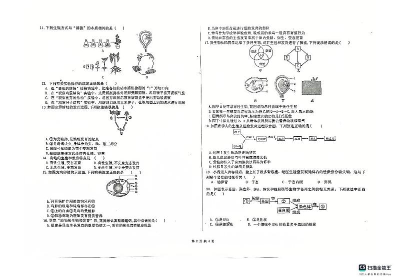 山东省德州市宁津县育新中学等校八年级2024-2025学年八年级上学期11月期中生物试题第2页