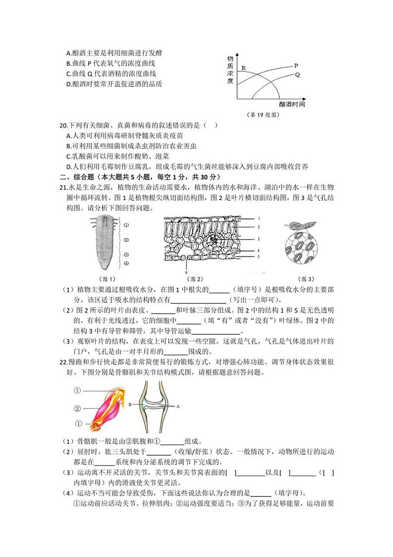2024～2025学年江西省吉安市永丰县十一校联考(月考)八年级(上)12月月考生物试卷(含答案)第3页