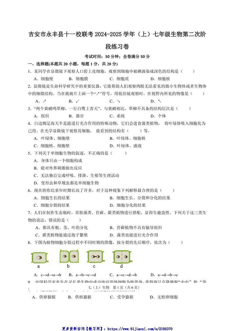 2024～2025学年江西省吉安市永丰县十一校联考(月考)七年级(上)12月月考生物试卷(含答案)第1页
