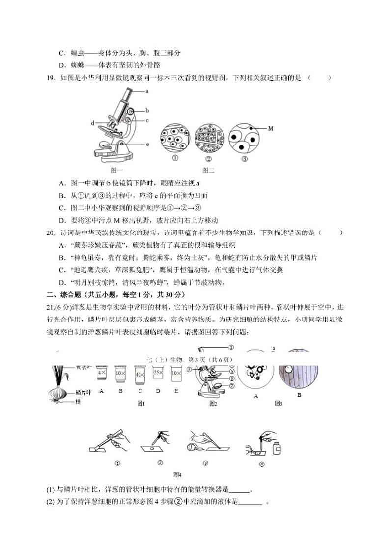 2024～2025学年江西省吉安市永丰县十一校联考(月考)七年级(上)12月月考生物试卷(含答案)第3页