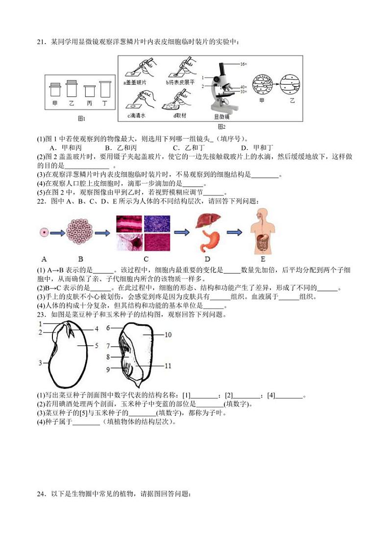 2024～2025学年江西省九江市永修县第三中学七年级(上)阶段二质量检测生物试卷(含答案)第3页