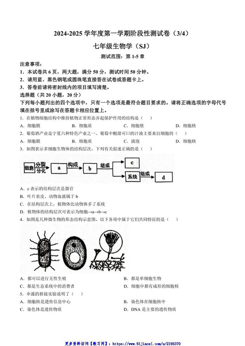 2024～2025学年河南省平顶山市等2地七年级(上)12月月考生物试卷(含答案)第1页