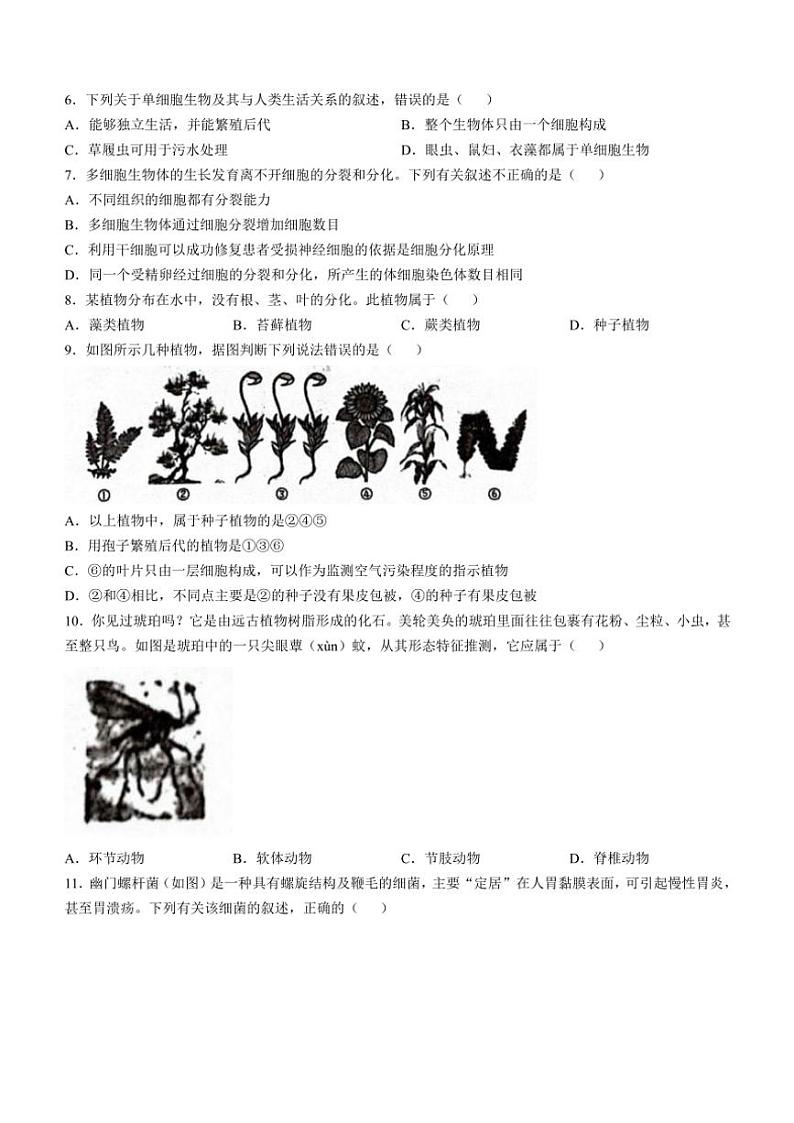 2024～2025学年河南省平顶山市等2地七年级(上)12月月考生物试卷(含答案)第2页