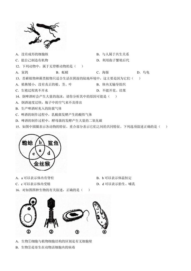 2024～2025学年河南省平顶山市等2地七年级(上)12月月考生物试卷(含答案)第3页