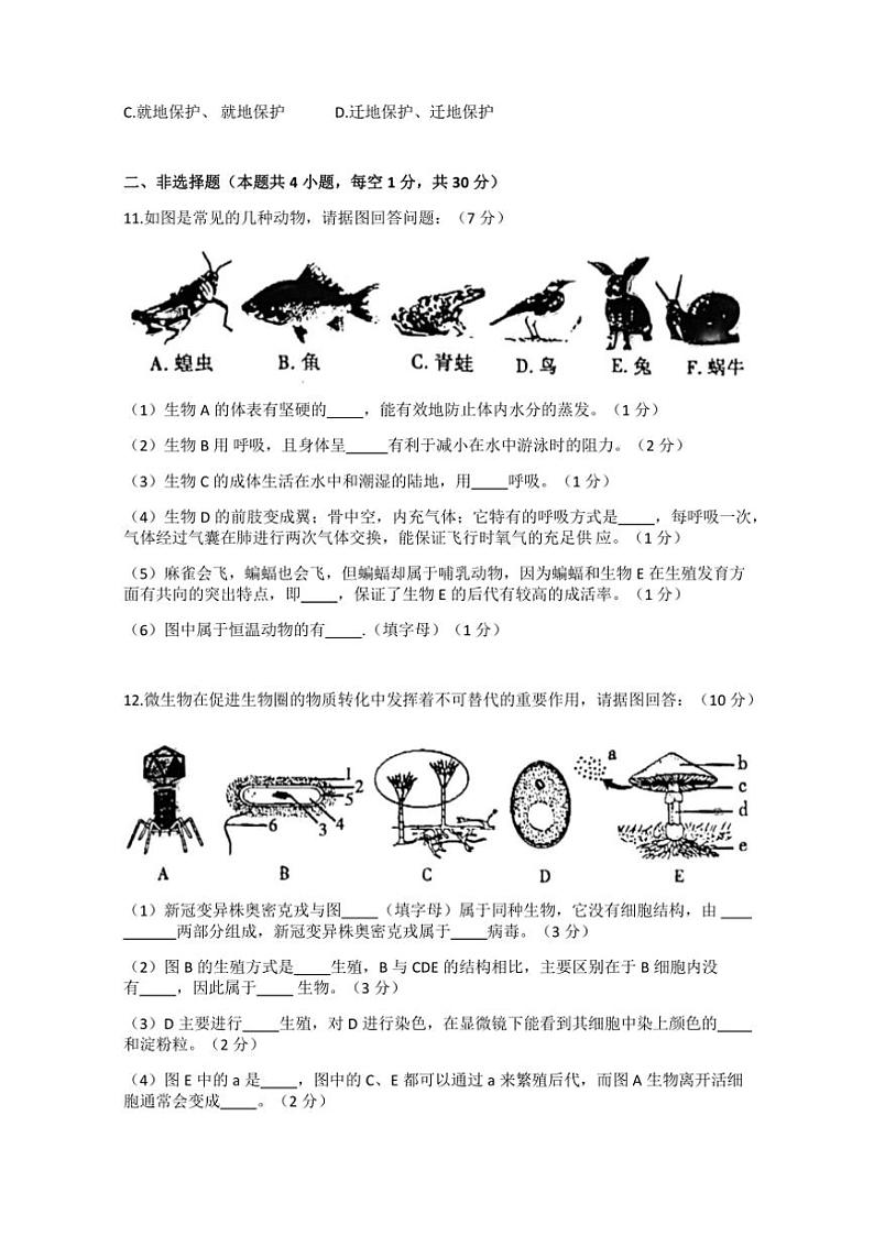 2024～2025学年湖北省荆州市八年级(上)12月份月考生物试卷(含答案)第3页
