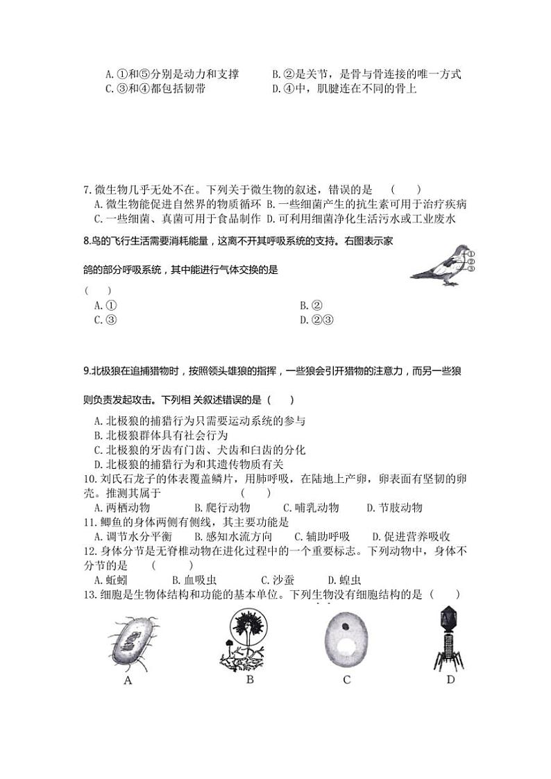 2024～2025学年河南省南阳市多校八年级(上)第三次月考(素养评估(三))生物试卷(含答案)第2页