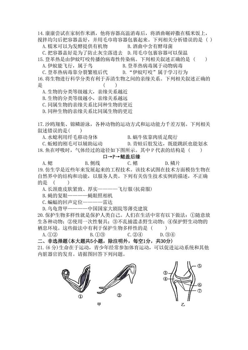 2024～2025学年河南省南阳市多校八年级(上)第三次月考(素养评估(三))生物试卷(含答案)第3页