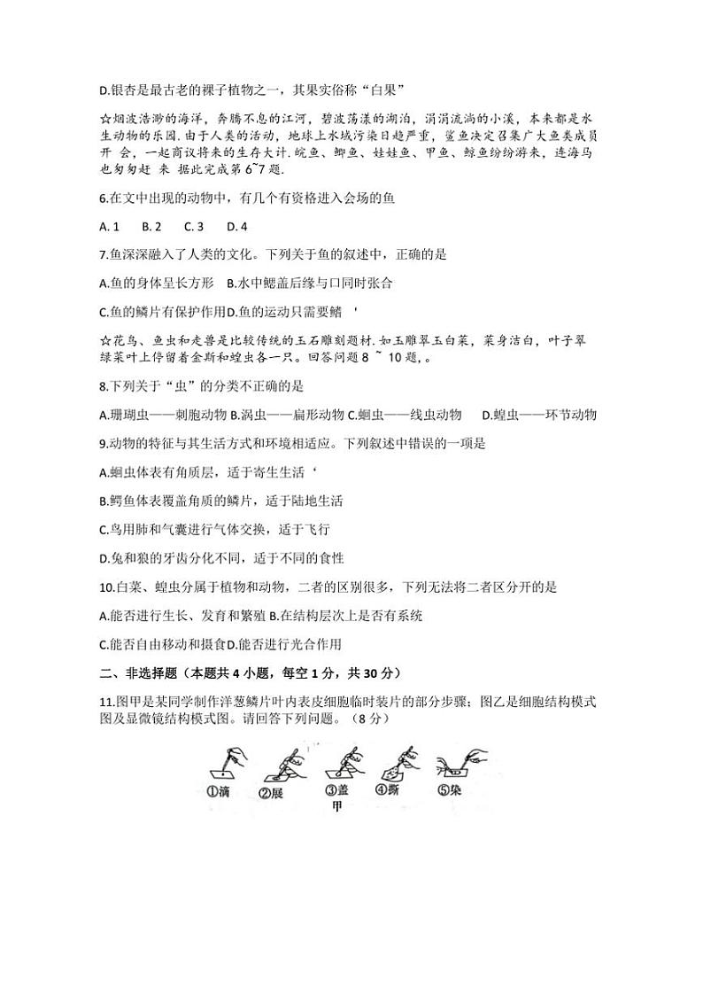 2024～2025学年湖北省荆州市七年级(上)12月份月考生物试卷(含答案)第2页