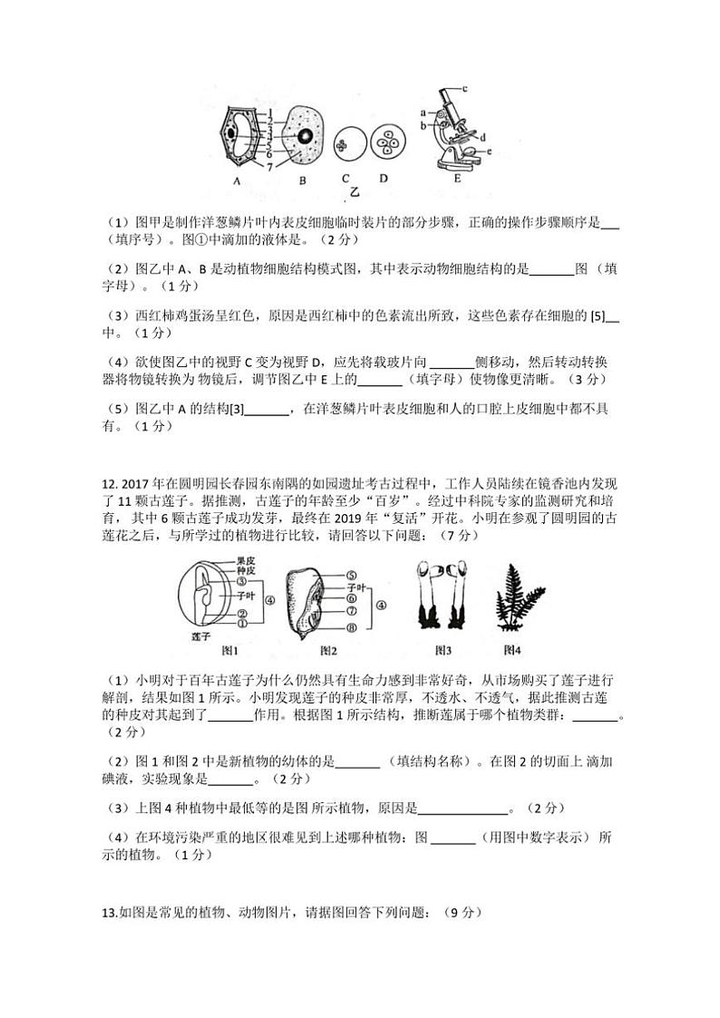 2024～2025学年湖北省荆州市七年级(上)12月份月考生物试卷(含答案)第3页