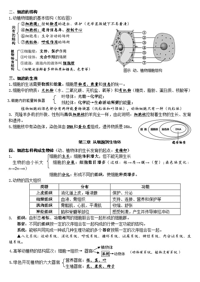 人教版（2024版）七年级上册生物期末复习提纲 学案第2页