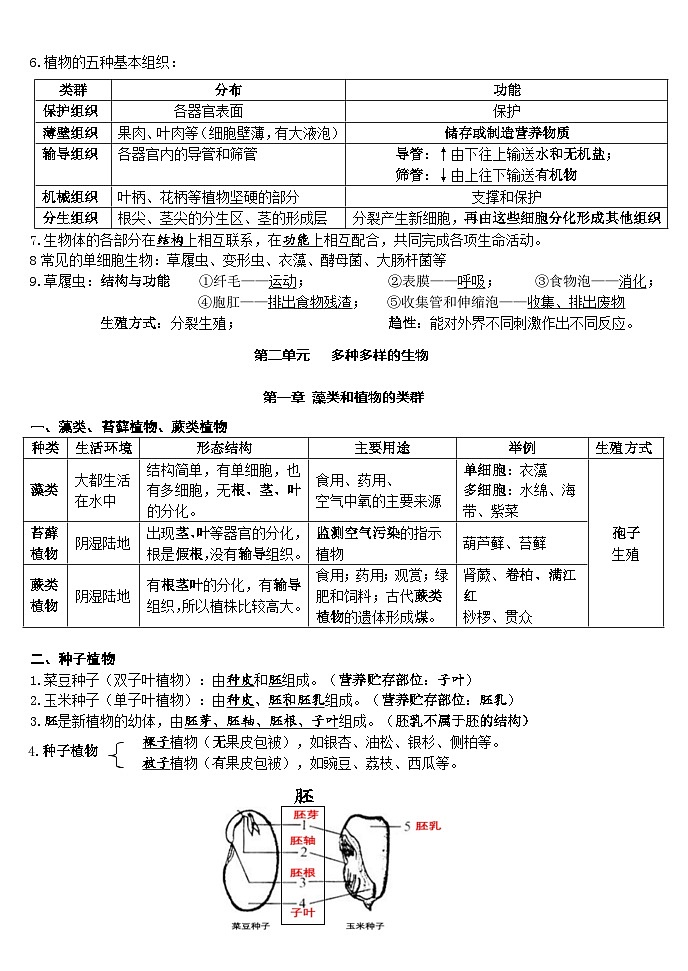 人教版（2024版）七年级上册生物期末复习提纲 学案第3页