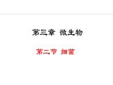 人教版（2024）七年级生物上册2.3.2细菌精品课件