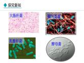人教版（2024）七年级生物上册2.3.1微生物的分布精品课件