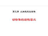 人教版（2024）七年级生物上册1.3.2动物体的结构层次精品课件