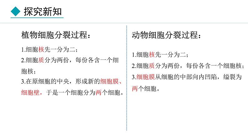 人教版（2024）七年级生物上册1.3.1细胞通过分裂产生新细胞精品课件第8页