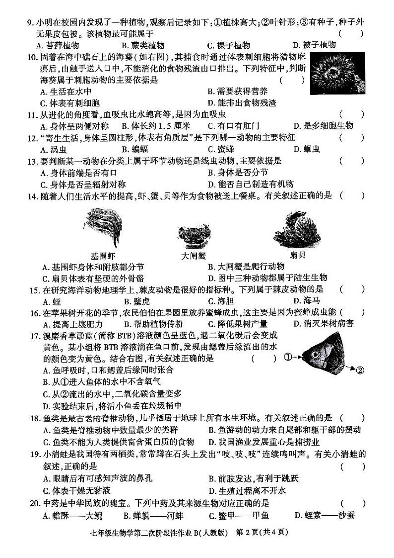 陕西省咸阳市秦都区金山学校2024-2025学年七年级上学期12月月考生物试题第2页