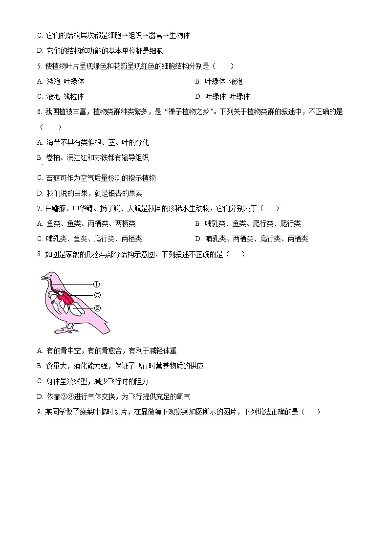 山东省枣庄市市中区2023-2024学年七年级上学期12月月考生物试题（原卷版）-A4第2页