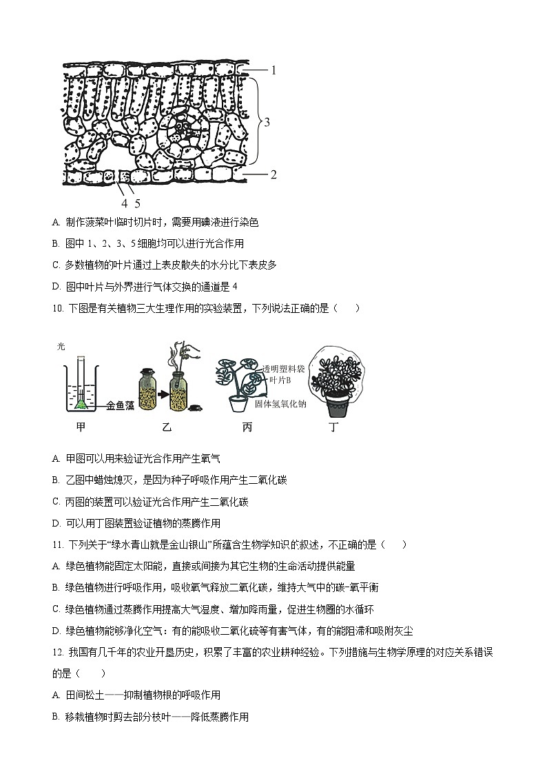 山东省枣庄市市中区2023-2024学年七年级上学期12月月考生物试题（原卷版）-A4第3页