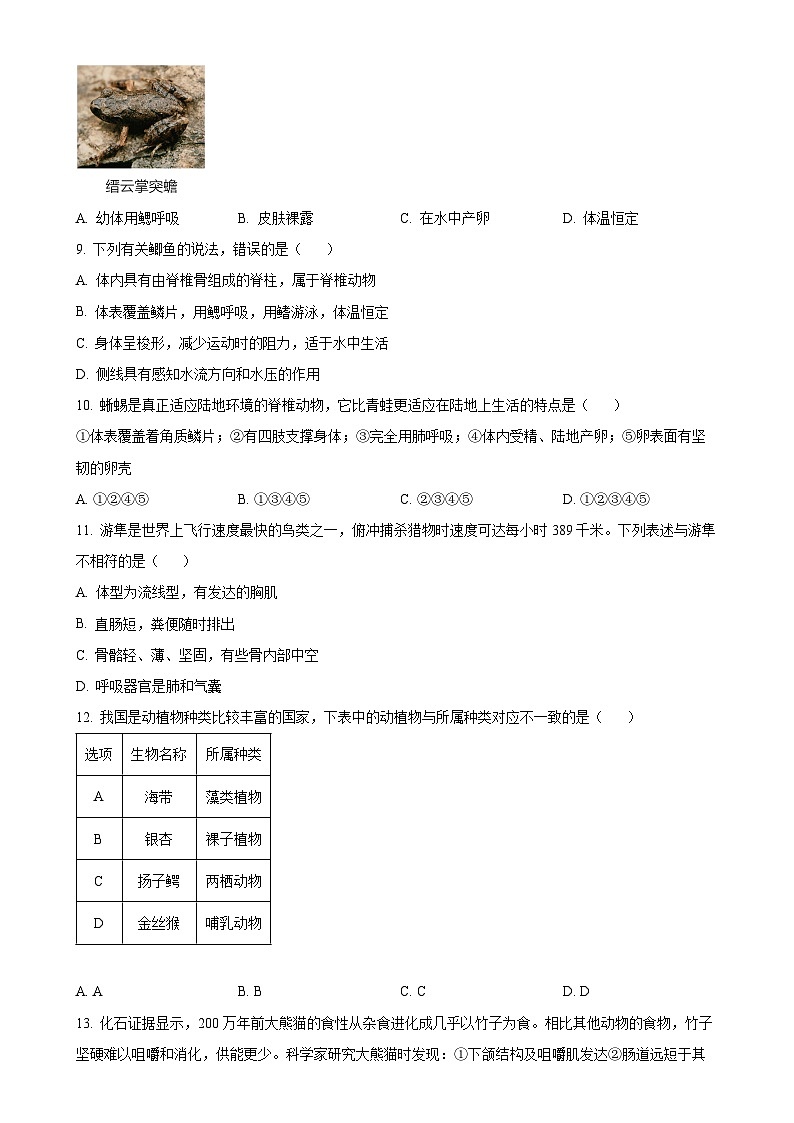 湖南省湘潭市雨湖区2024-2025学年八年级上学期期中生物试题（原卷版）-A4第2页