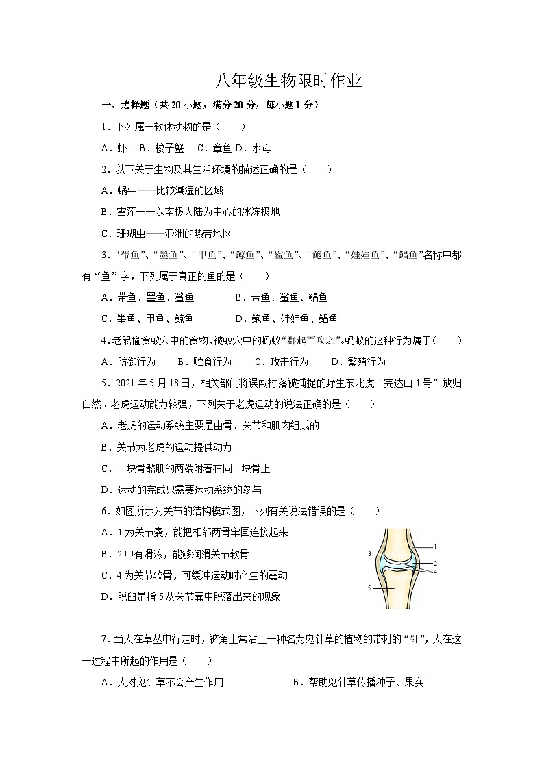 八年级生物限时作业第1页