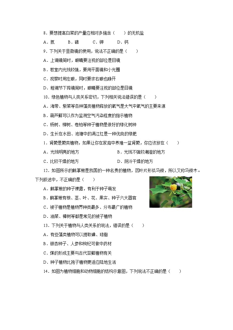 七年级生物限时作业第2页