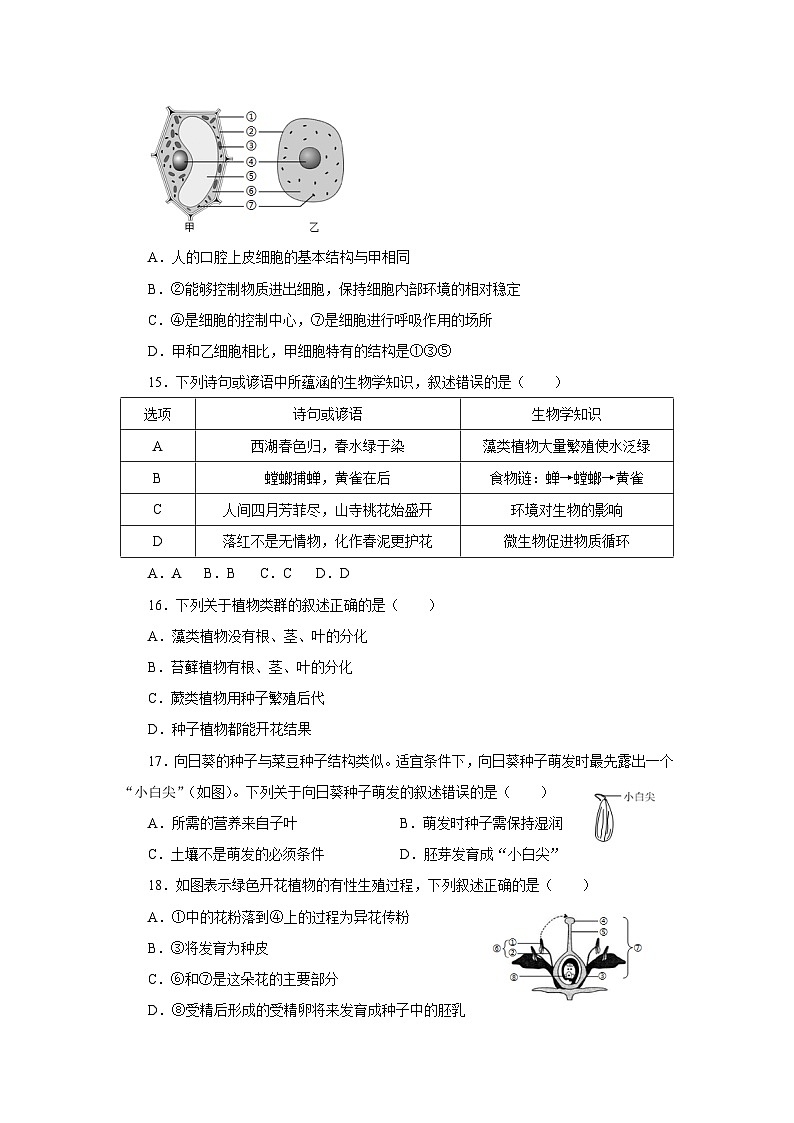 七年级生物限时作业第3页