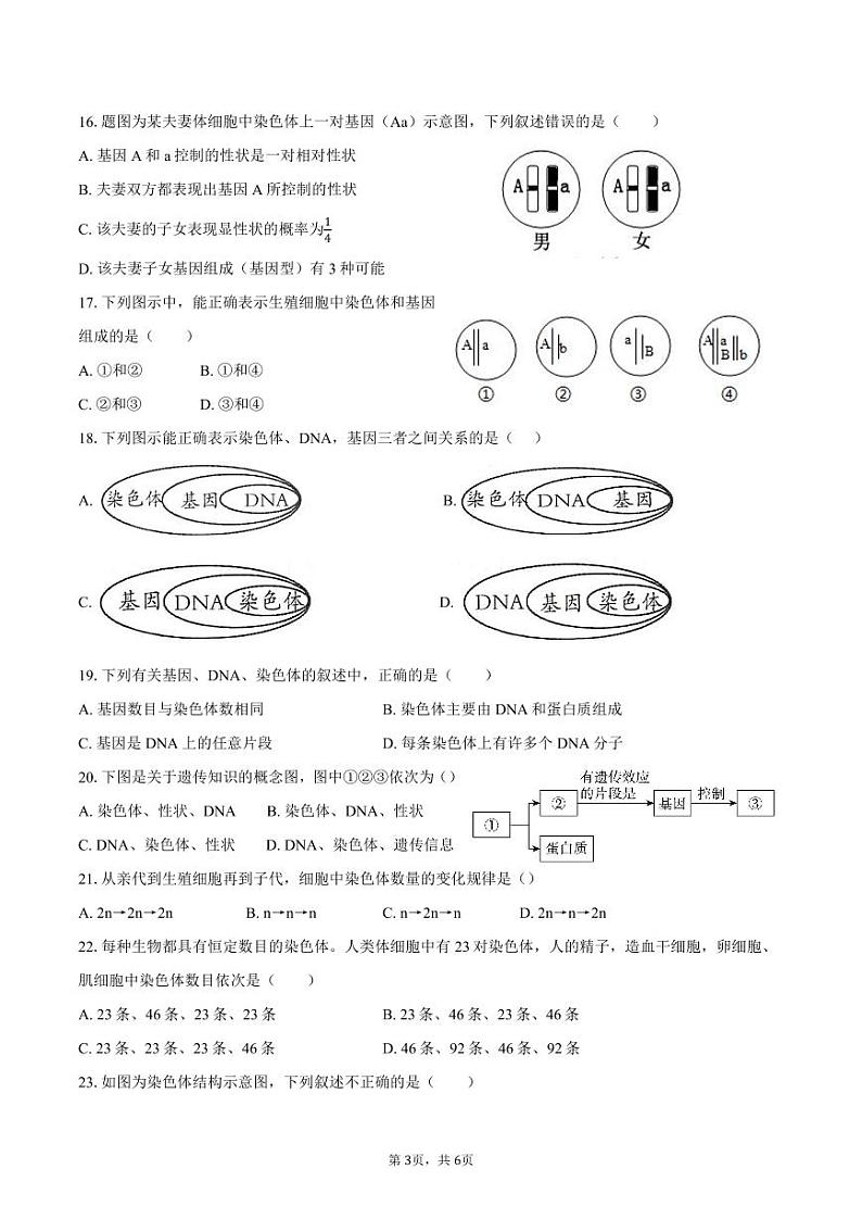2024年12月八年级生物素质作业-学生用卷第3页