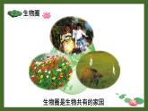 北师大版（2024）七年级生物上册1.1.1形形色色的生物精品课件