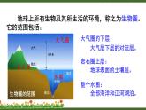 北师大版（2024）七年级生物上册1.1.1形形色色的生物精品课件