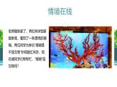 北师大版（2024）七年级生物上册1.1.1形形色色的生物精品ppt课件