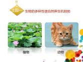 北师大版（2024）七年级生物上册1.1.1形形色色的生物第1课时课件