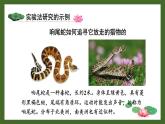 北师大版（2024）七年级生物上册1.1.3生物学研究的基本方法精品课件