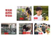 北师大版（2024）七年级生物上册1.1.3生物学研究的基本方法精品ppt课件
