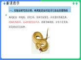 北师大版（2024）七年级生物上册1.1.3生物学研究的基本方法ppt课件