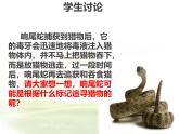 北师大版（2024）七年级生物上册1.1.3生物学研究的基本方法ppt精品课件
