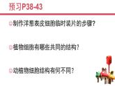 北师大版（2024）七年级生物上册2.2.1细胞的基本结构和功能课件