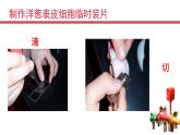 北师大版（2024）七年级生物上册2.2.1细胞的基本结构和功能课件