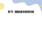 北师大版（2024）七年级生物上册2.2.1细胞的基本结构和功能精品课件