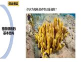 北师大版（2024）七年级生物上册2.2.1细胞的基本结构和功能精品课件