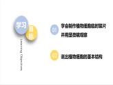 北师大版（2024）七年级生物上册2.2.1细胞的基本结构和功能精品课件