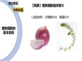 北师大版（2024）七年级生物上册2.2.1细胞的基本结构和功能精品课件