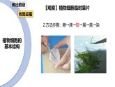 北师大版（2024）七年级生物上册2.2.1细胞的基本结构和功能精品课件