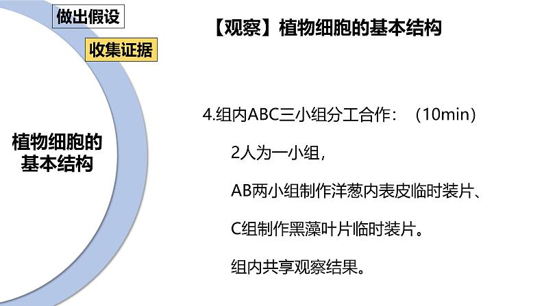 北师大版（2024）七年级生物上册2.2.1细胞的基本结构和功能精品课件第8页