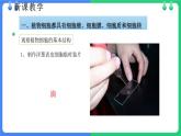 北师大版（2024）七年级生物上册2.2.1细胞的基本结构和功能第2课时课件