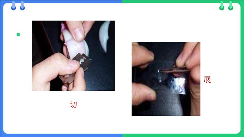 北师大版（2024）七年级生物上册2.2.1细胞的基本结构和功能第2课时课件第6页