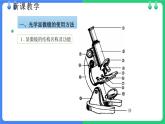 北师大版（2024）七年级生物上册2.2.1细胞的基本结构和功能第1课时课件