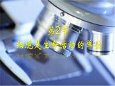 北师大版（2024）七年级生物上册2.2.2细胞是生命活动的单位课件