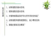 北师大版（2024）七年级生物上册2.2.2细胞是生命活动的单位课件