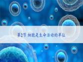 北师大版（2024）七年级生物上册2.2.2细胞是生命活动的单位精品课件